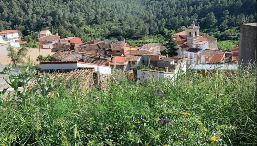 Casa De Amparo Y Jose Manuel Guest House Pavies Екстериор снимка